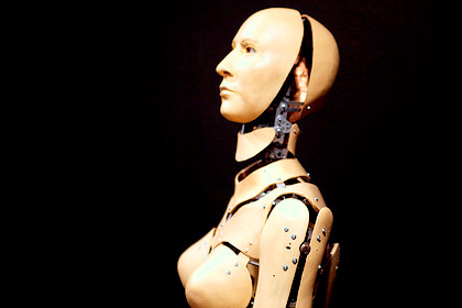 An Interpreter Robot?